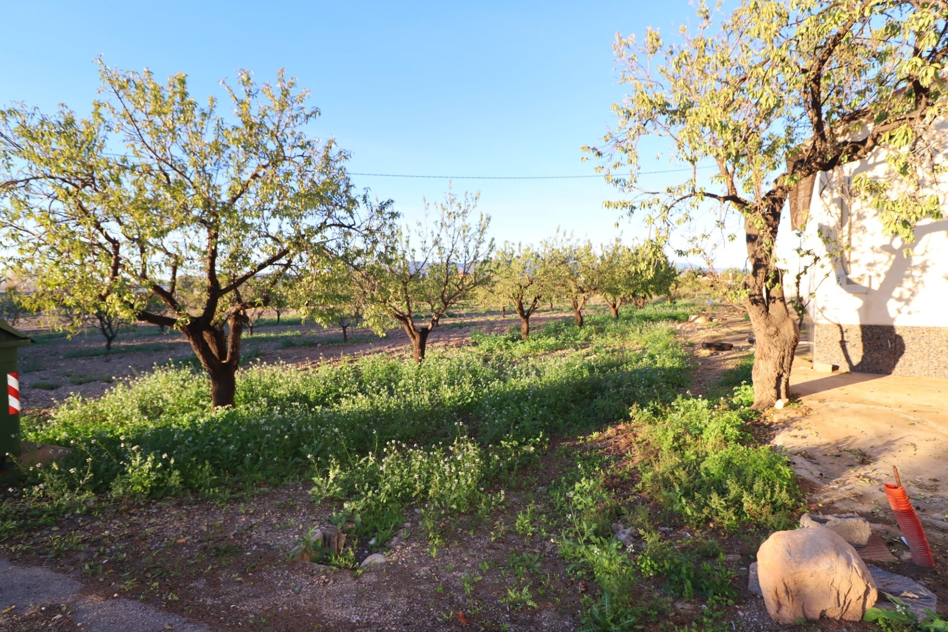 Resale - Country House -
Lorca