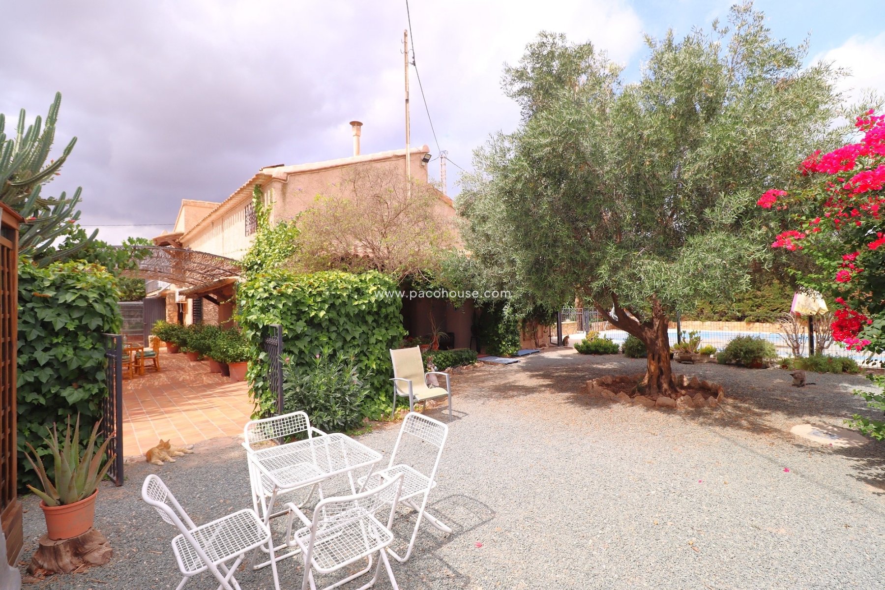 Resale - Country House -
Purias