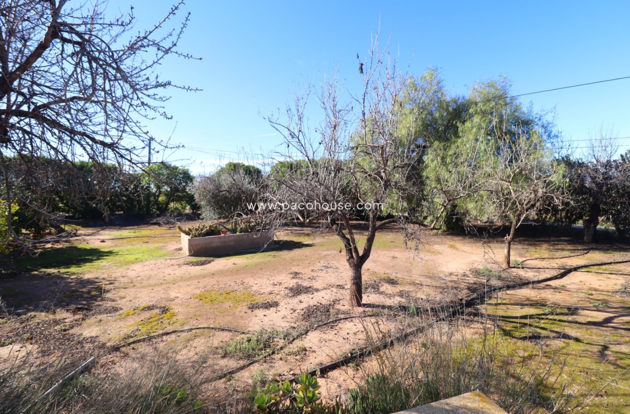 Resale - Country House -
Purias