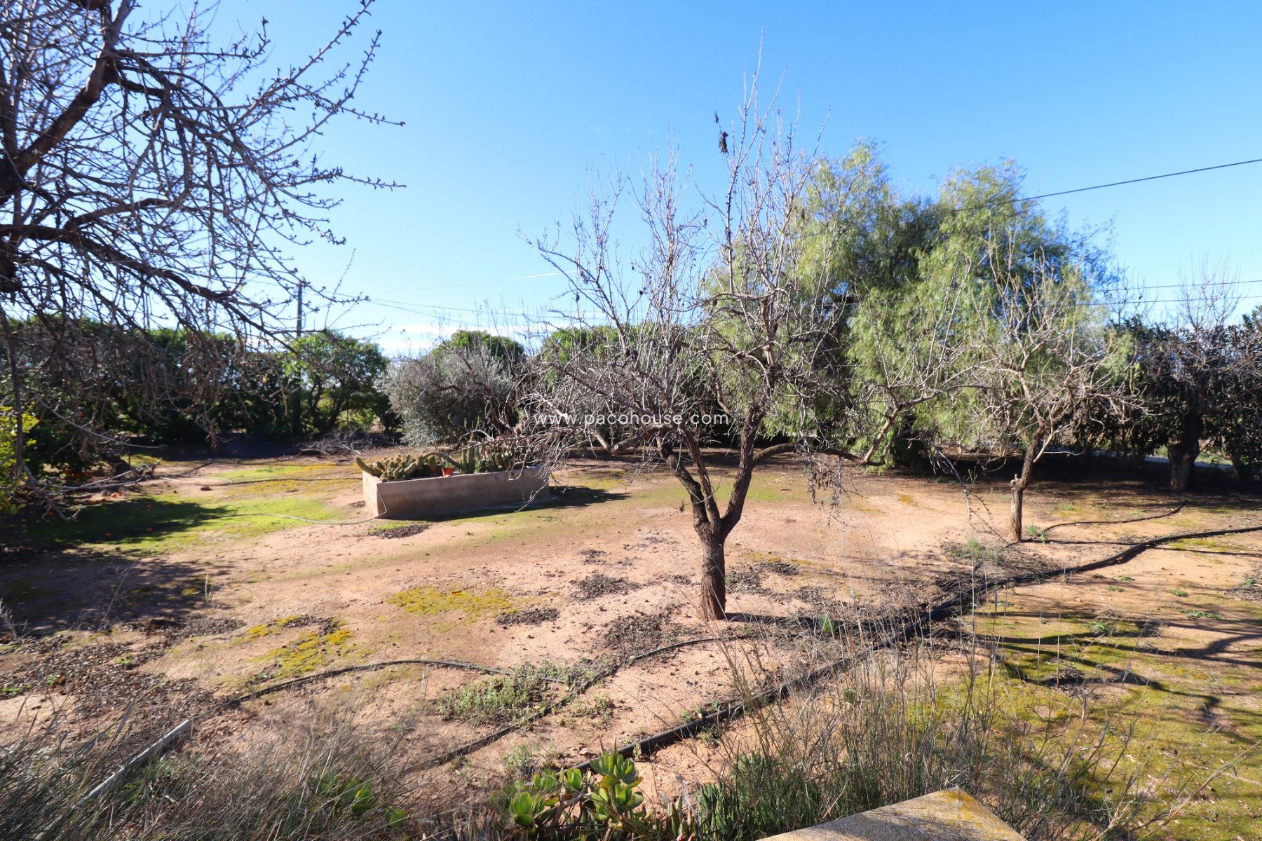 Resale - Country House -
Purias