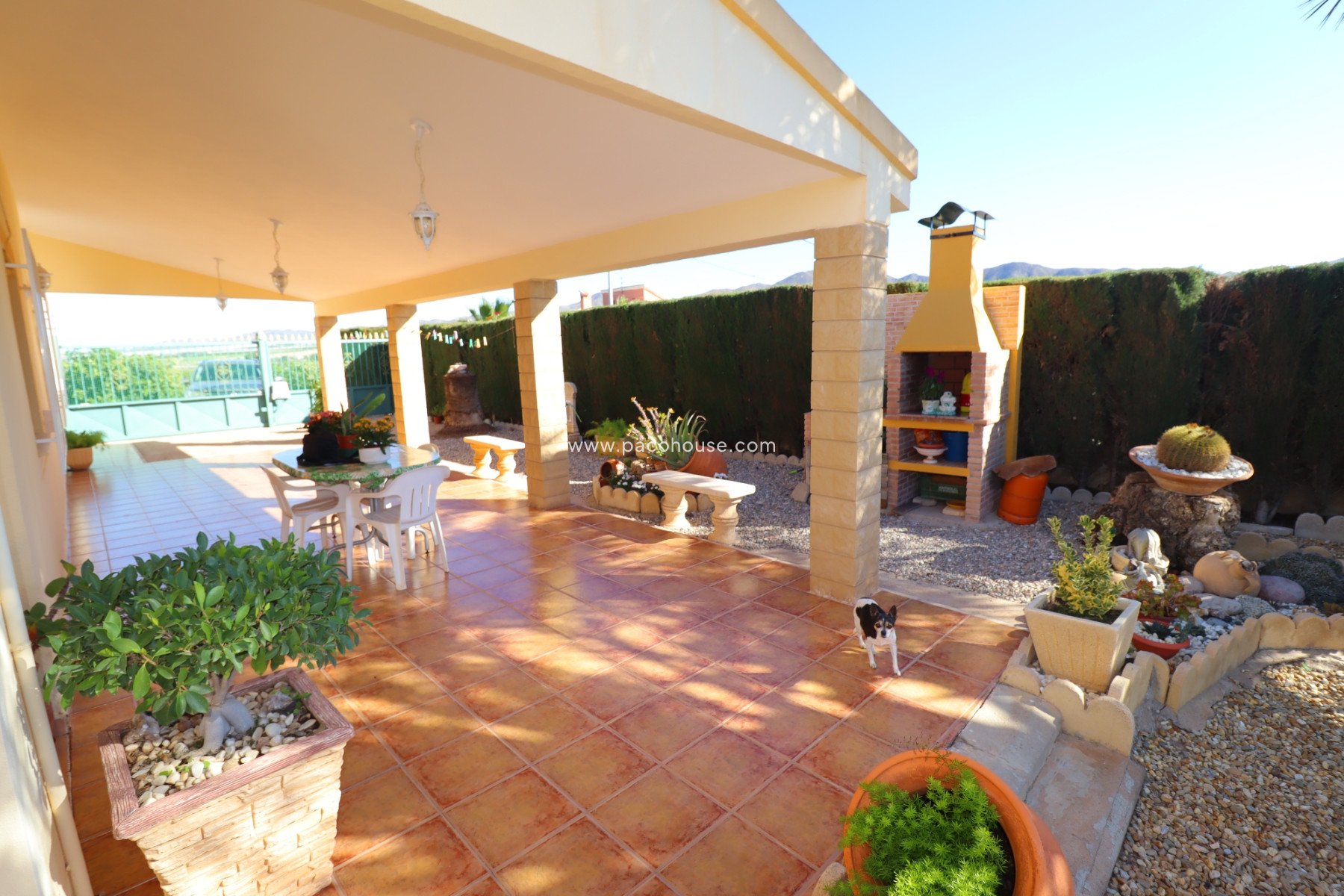 Resale - Country House -
Purias