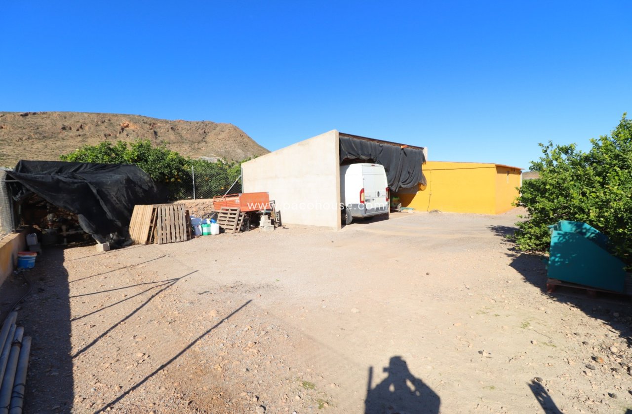 Resale - Country House -
Purias