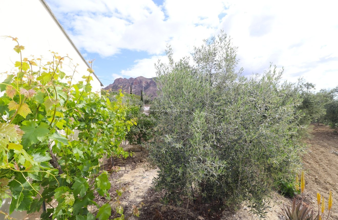 Resale - Country House -
Velez-Blanco