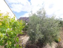 Resale - Country House -
Velez-Blanco