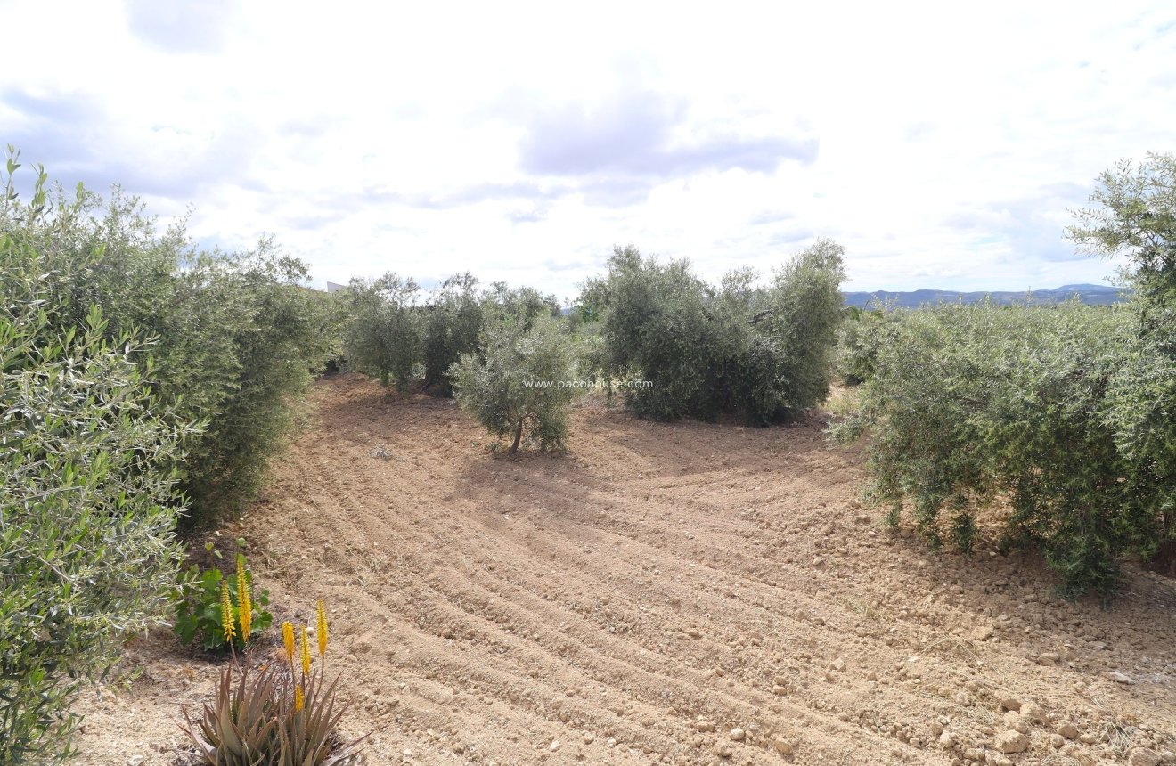 Resale - Country House -
Velez-Blanco