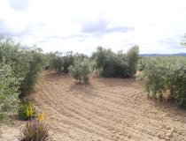 Resale - Country House -
Velez-Blanco