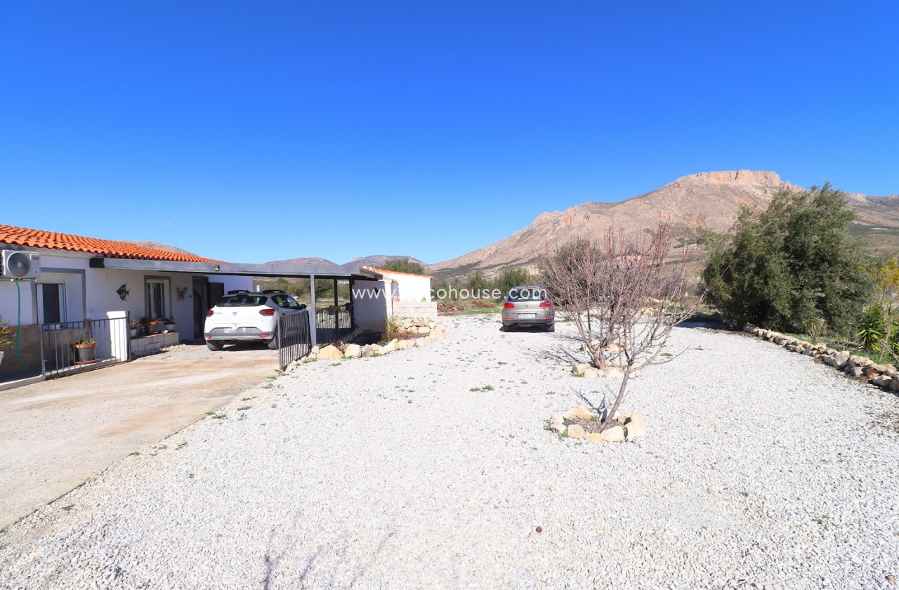 Resale - Country House -
Velez-Blanco