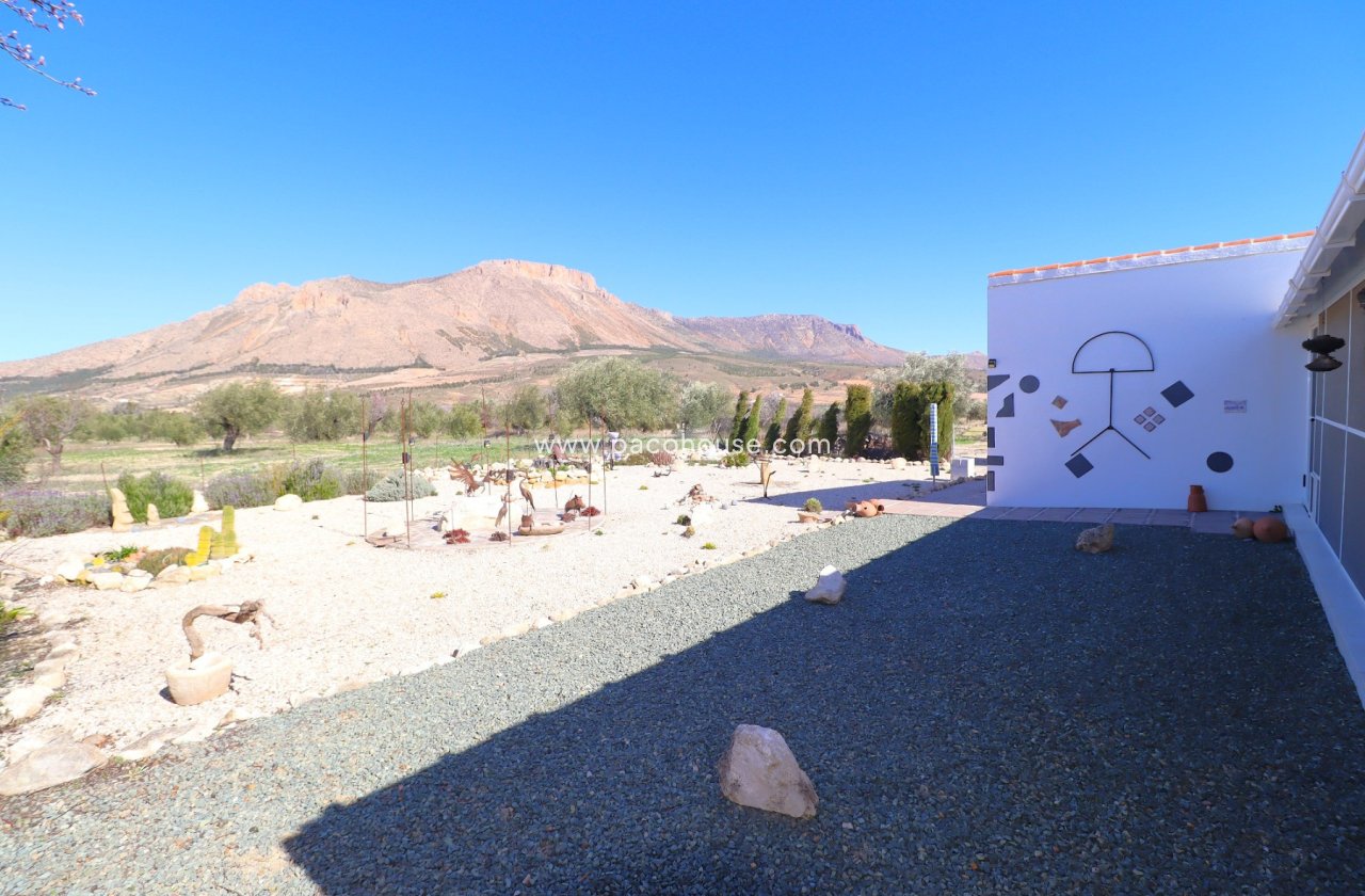 Resale - Country House -
Velez-Blanco