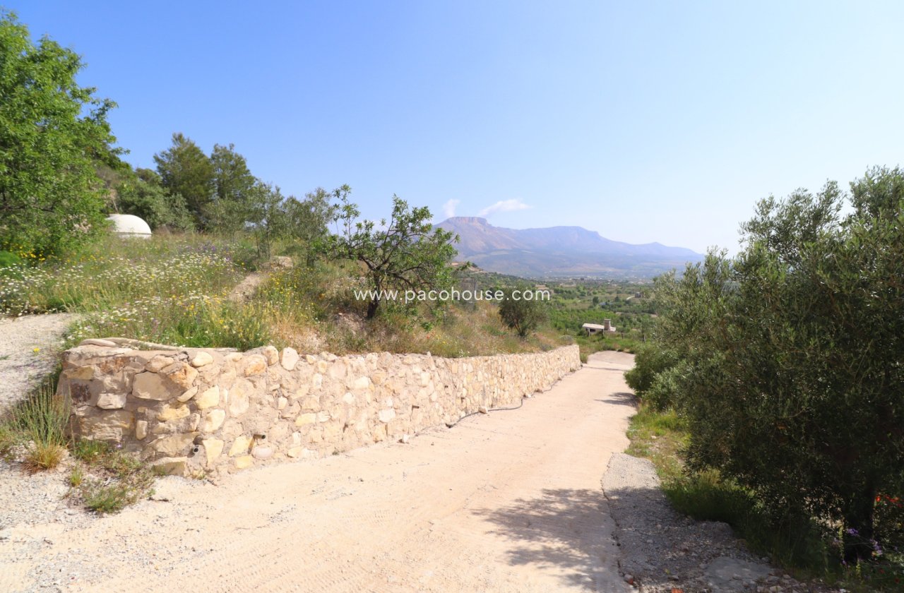 Resale - Country House -
Velez-Blanco