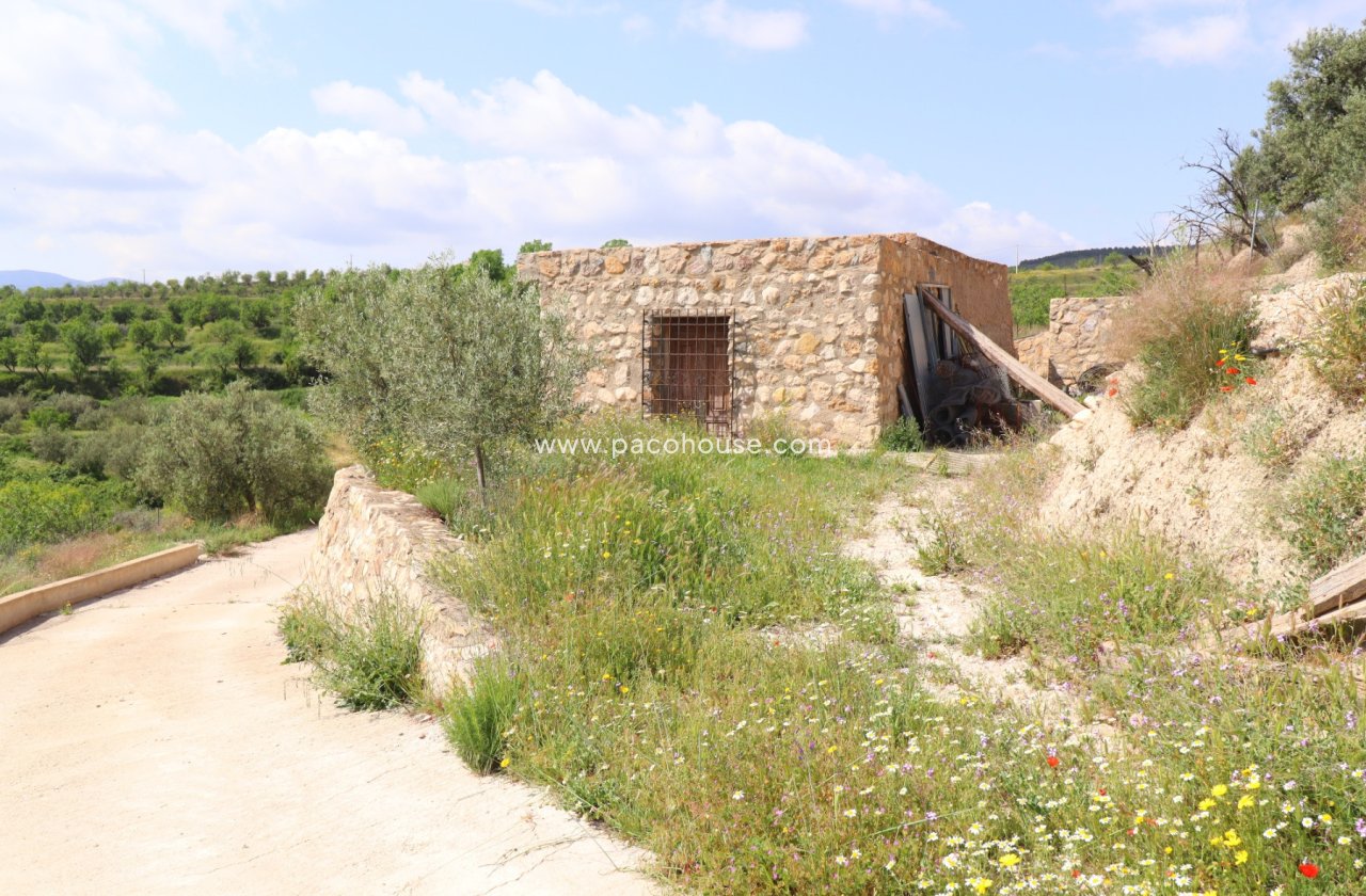 Resale - Country House -
Velez-Blanco