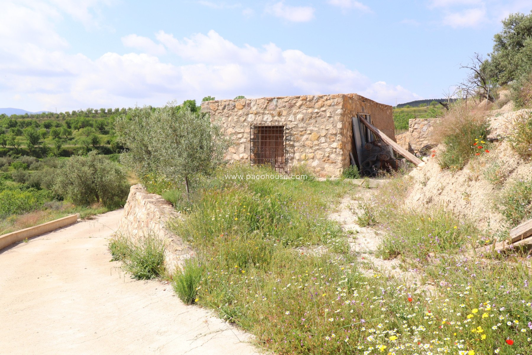 Resale - Country House -
Velez-Blanco