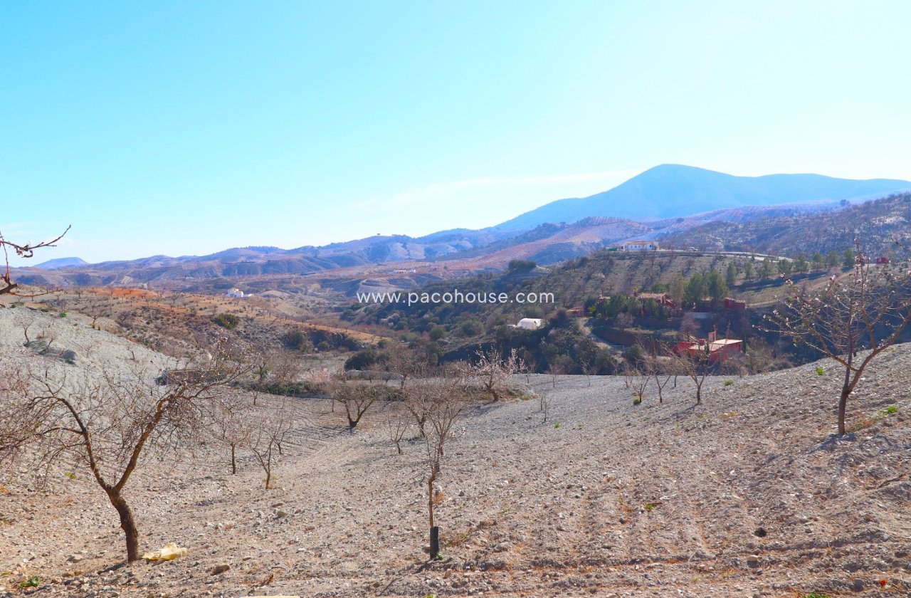 Resale - Country House -
Velez-Rubio