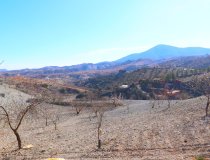 Resale - Country House -
Velez-Rubio