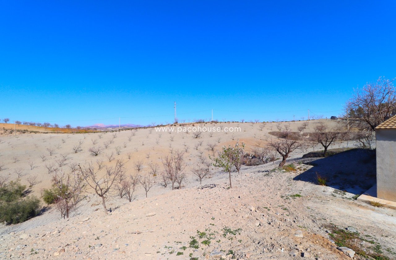 Resale - Country House -
Velez-Rubio