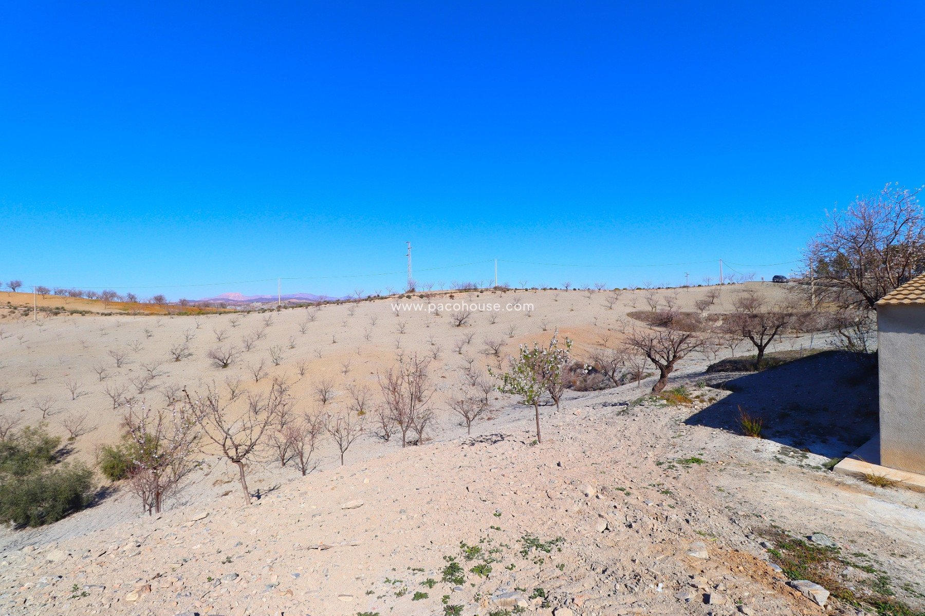 Resale - Country House -
Velez-Rubio