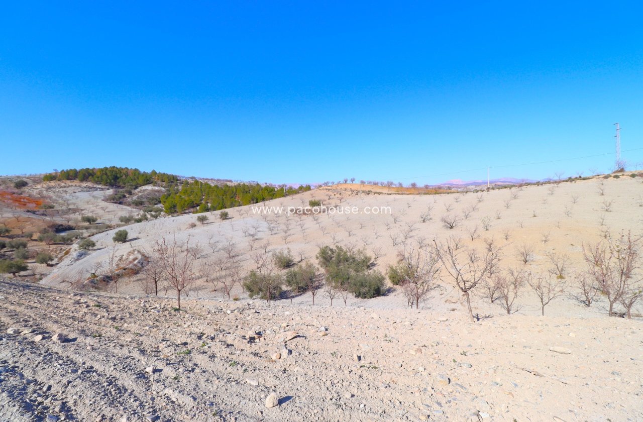 Resale - Country House -
Velez-Rubio