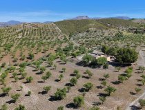 Resale - Country House -
Velez-Rubio