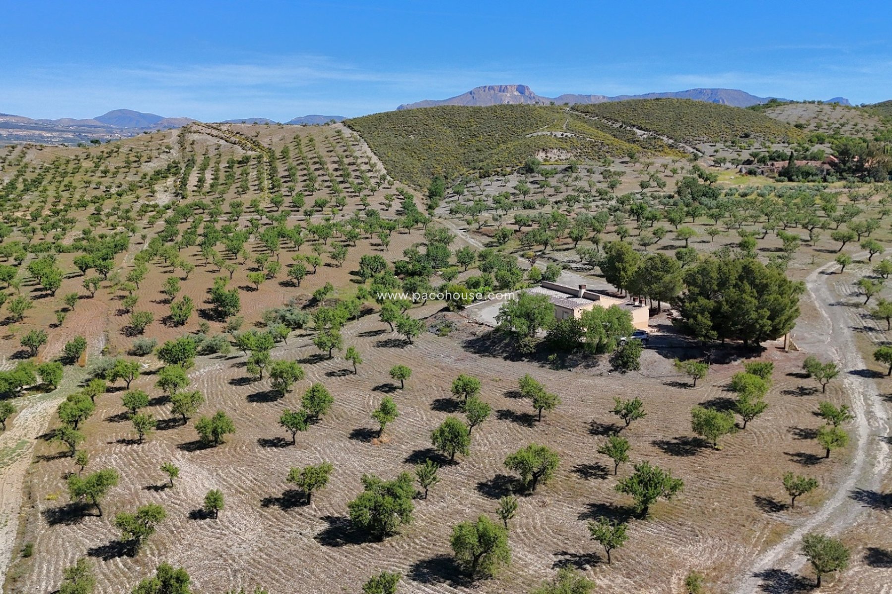 Resale - Country House -
Velez-Rubio