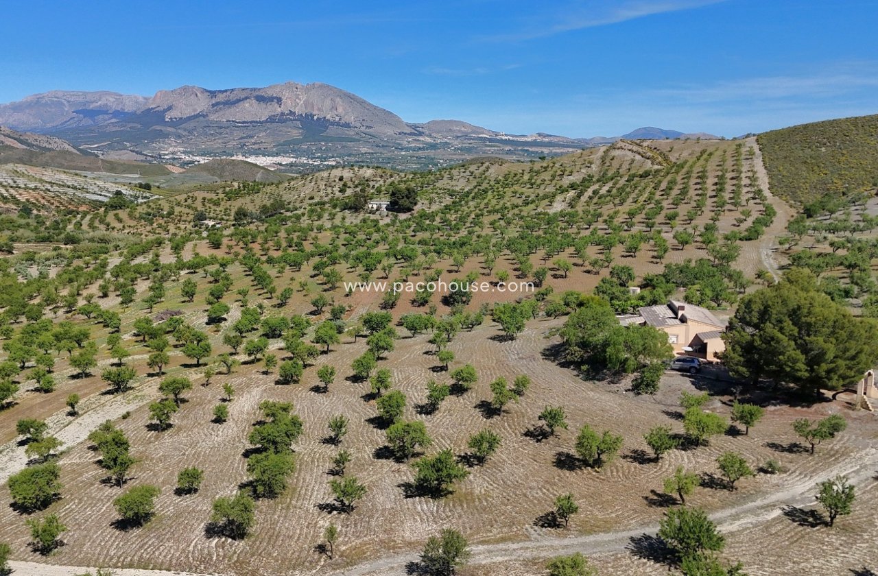 Resale - Country House -
Velez-Rubio