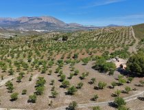 Resale - Country House -
Velez-Rubio
