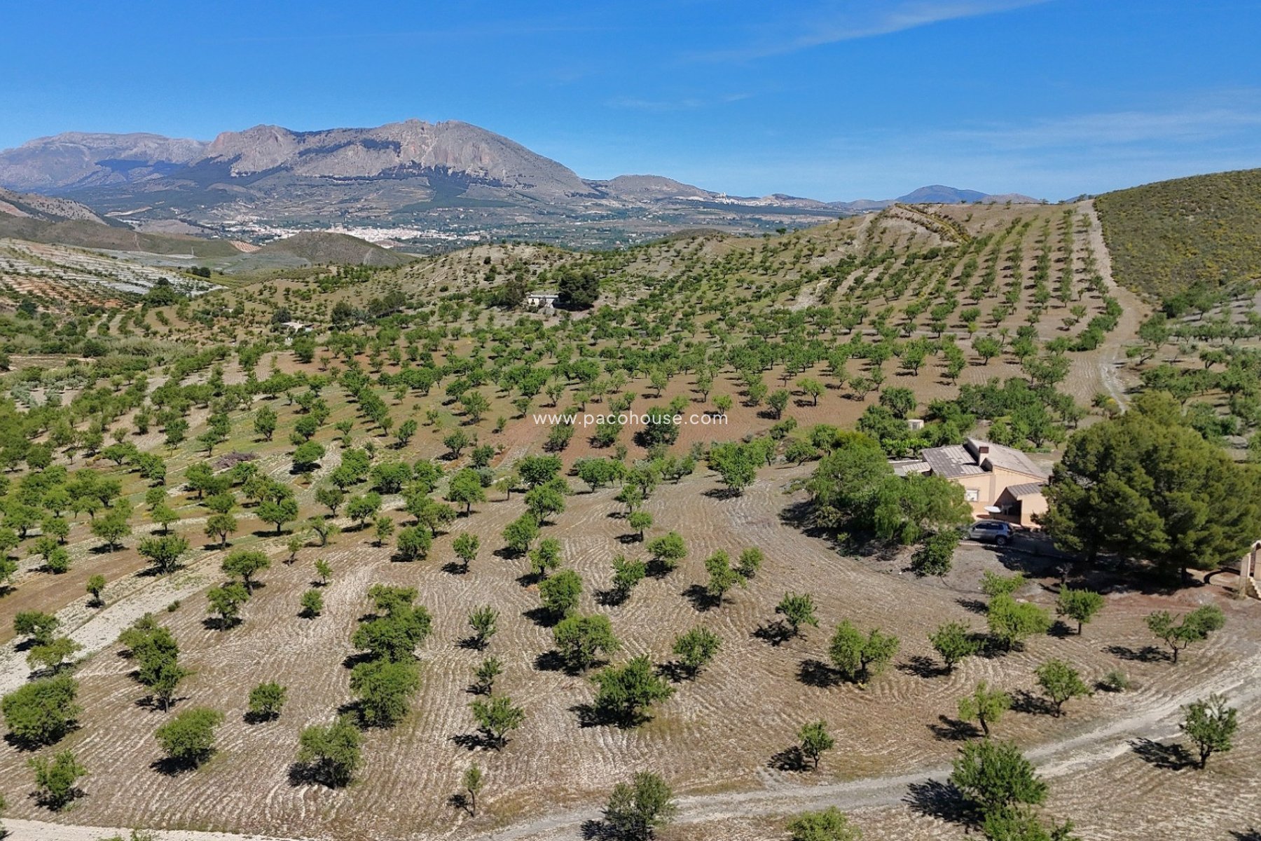 Resale - Country House -
Velez-Rubio
