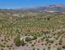 Resale - Country House -
Velez-Rubio