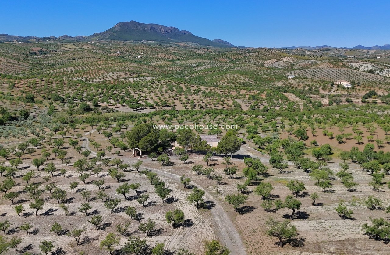 Resale - Country House -
Velez-Rubio