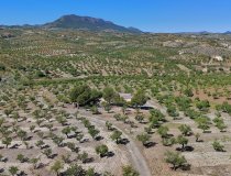 Resale - Country House -
Velez-Rubio