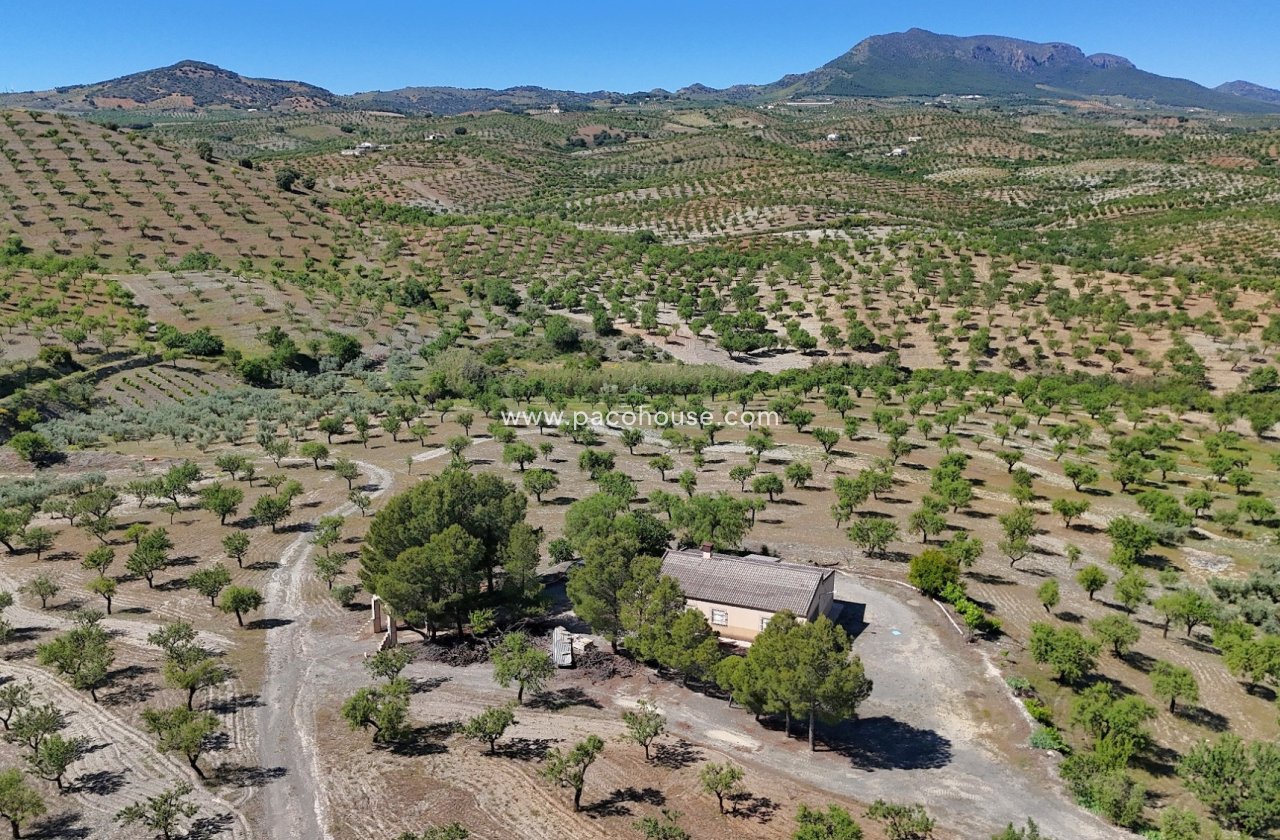 Resale - Country House -
Velez-Rubio