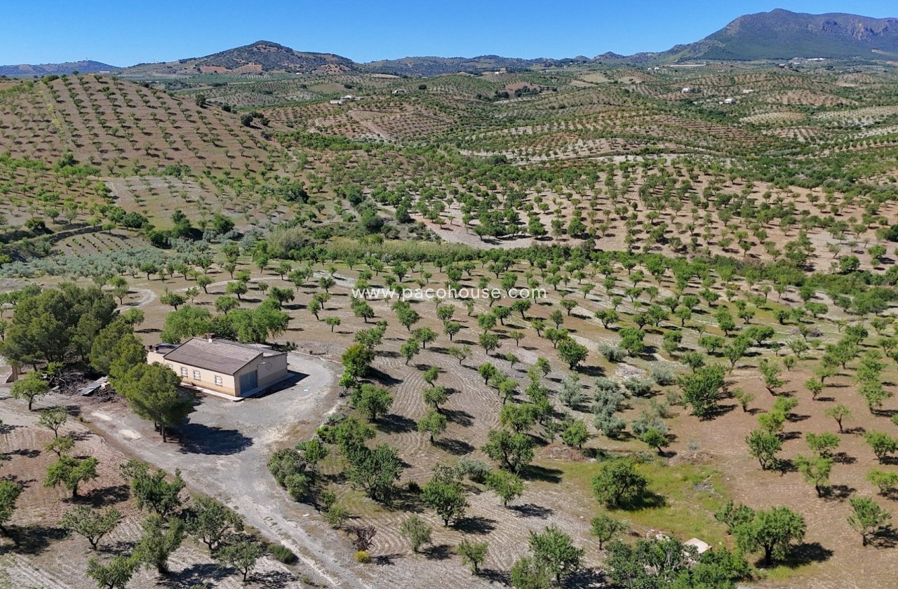Resale - Country House -
Velez-Rubio