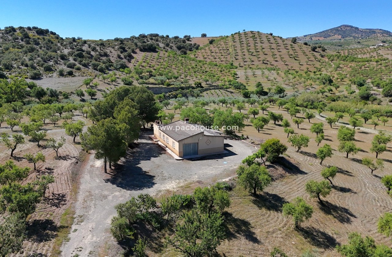 Resale - Country House -
Velez-Rubio