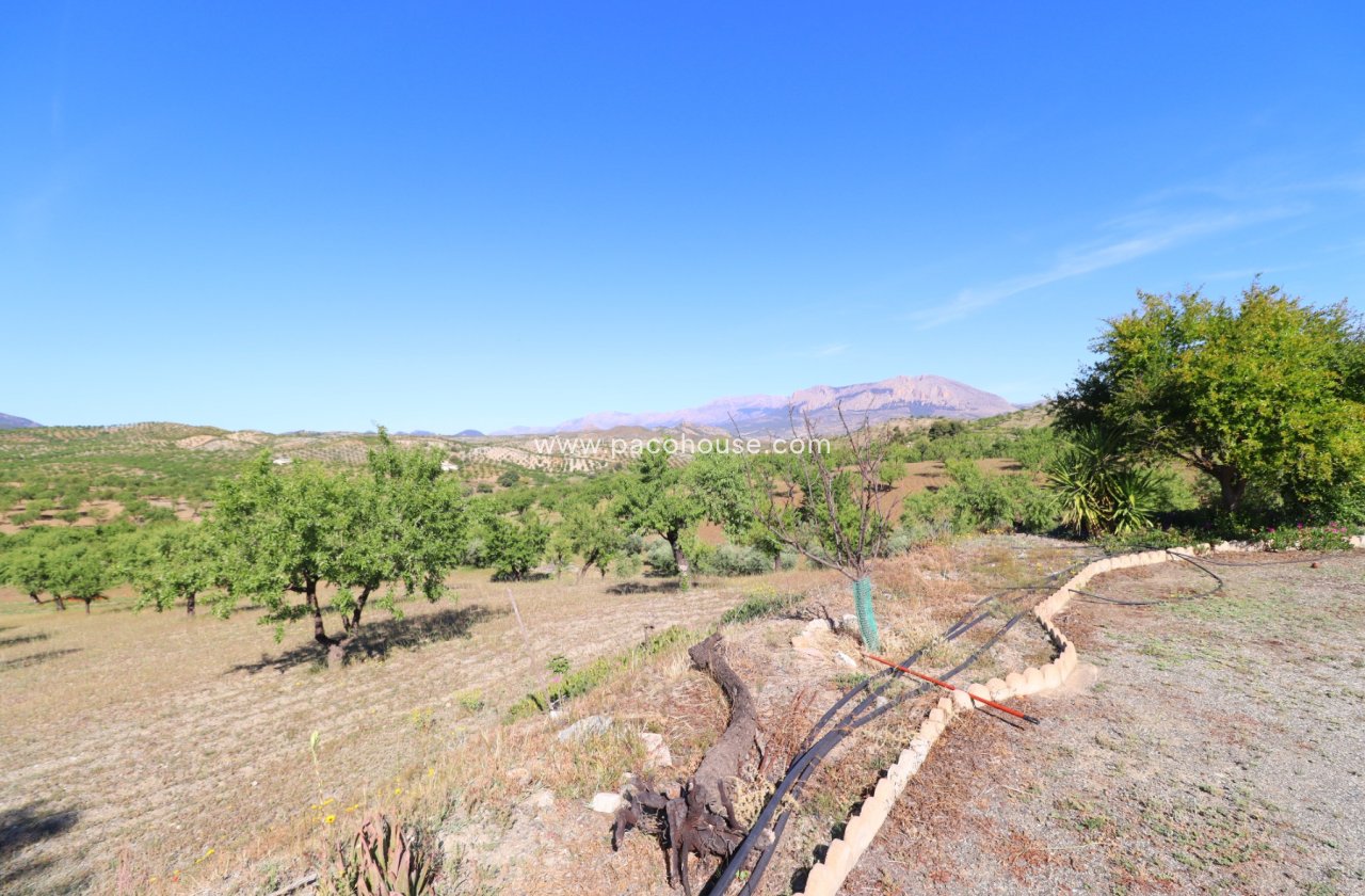 Resale - Country House -
Velez-Rubio