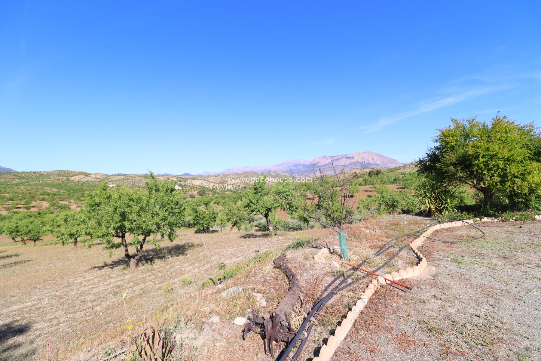 Resale - Country House -
Velez-Rubio