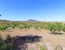 Resale - Country House -
Velez-Rubio