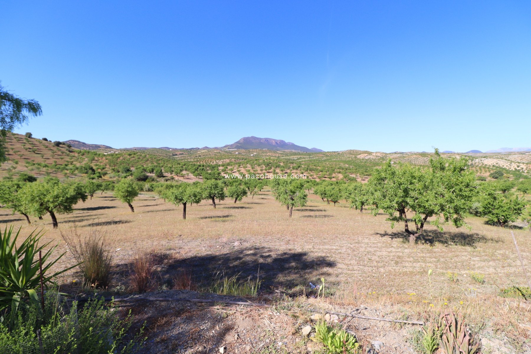 Resale - Country House -
Velez-Rubio