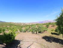 Resale - Country House -
Velez-Rubio