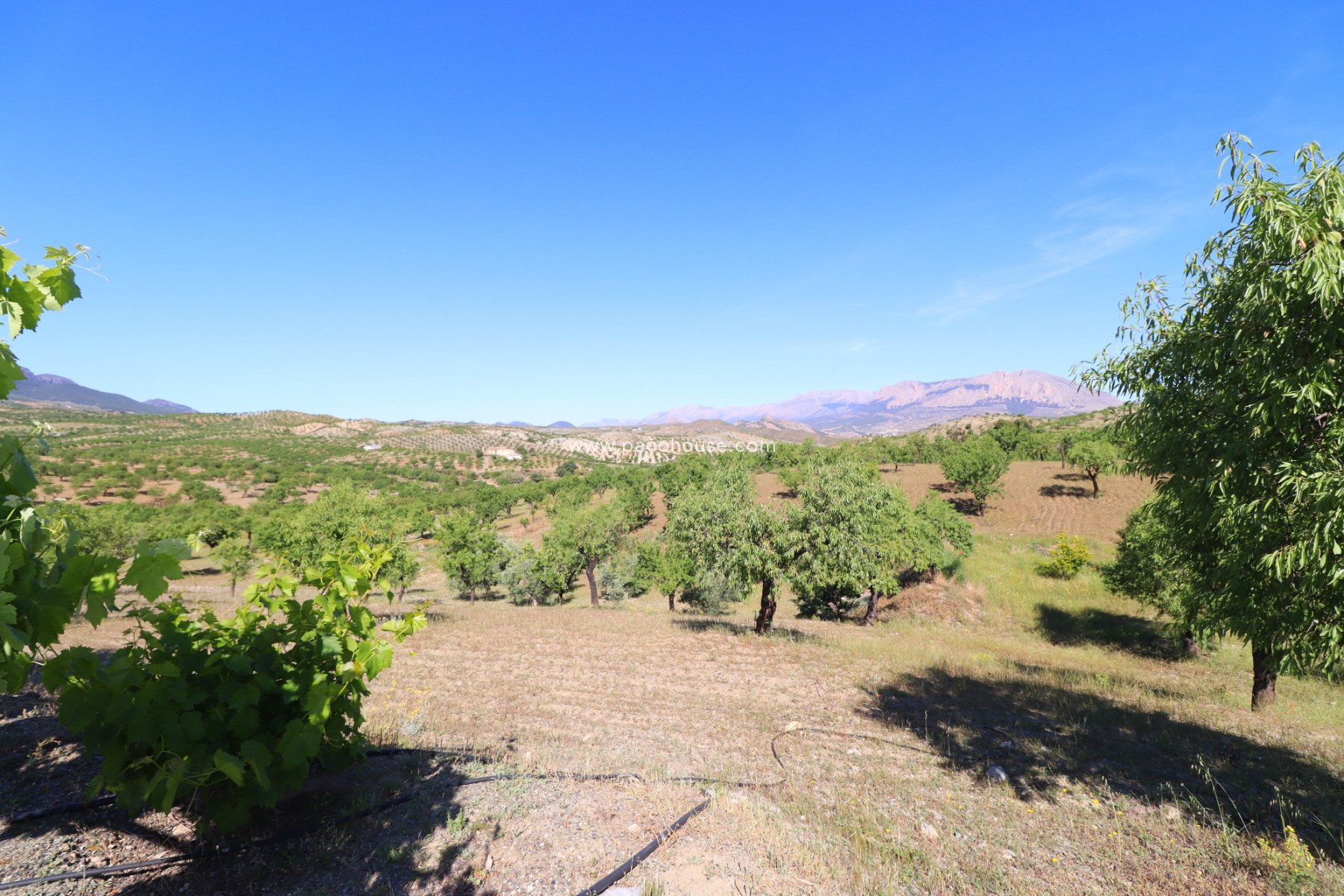 Resale - Country House -
Velez-Rubio