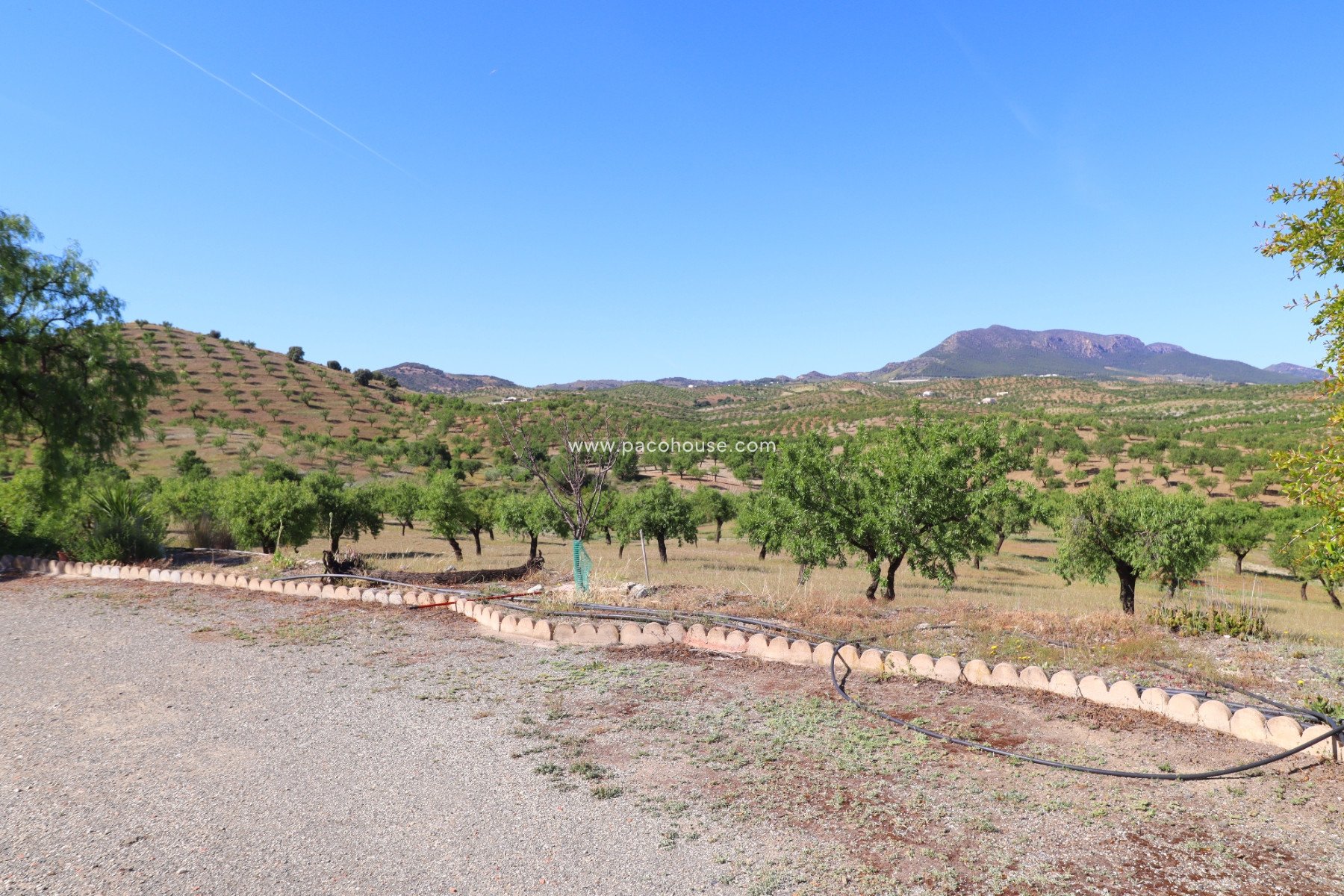 Resale - Country House -
Velez-Rubio