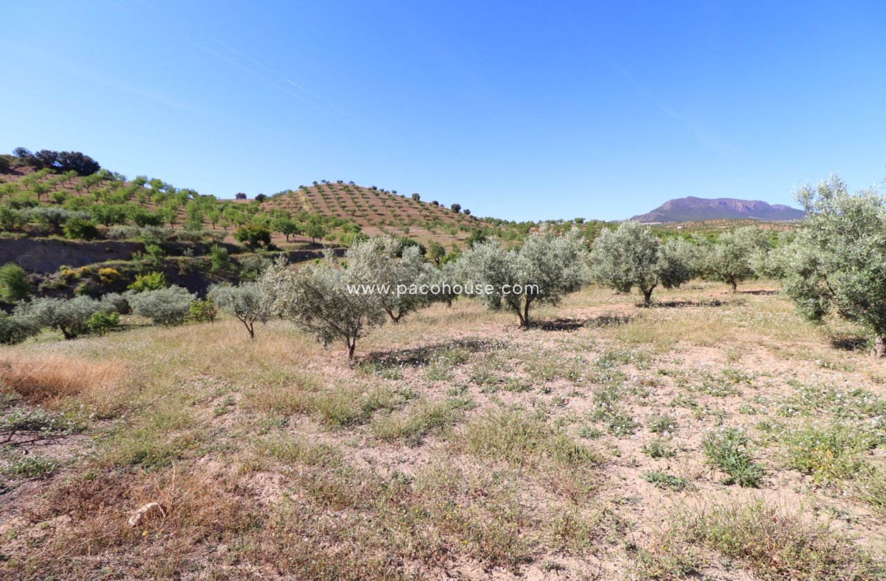 Resale - Country House -
Velez-Rubio