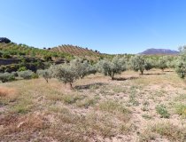 Resale - Country House -
Velez-Rubio