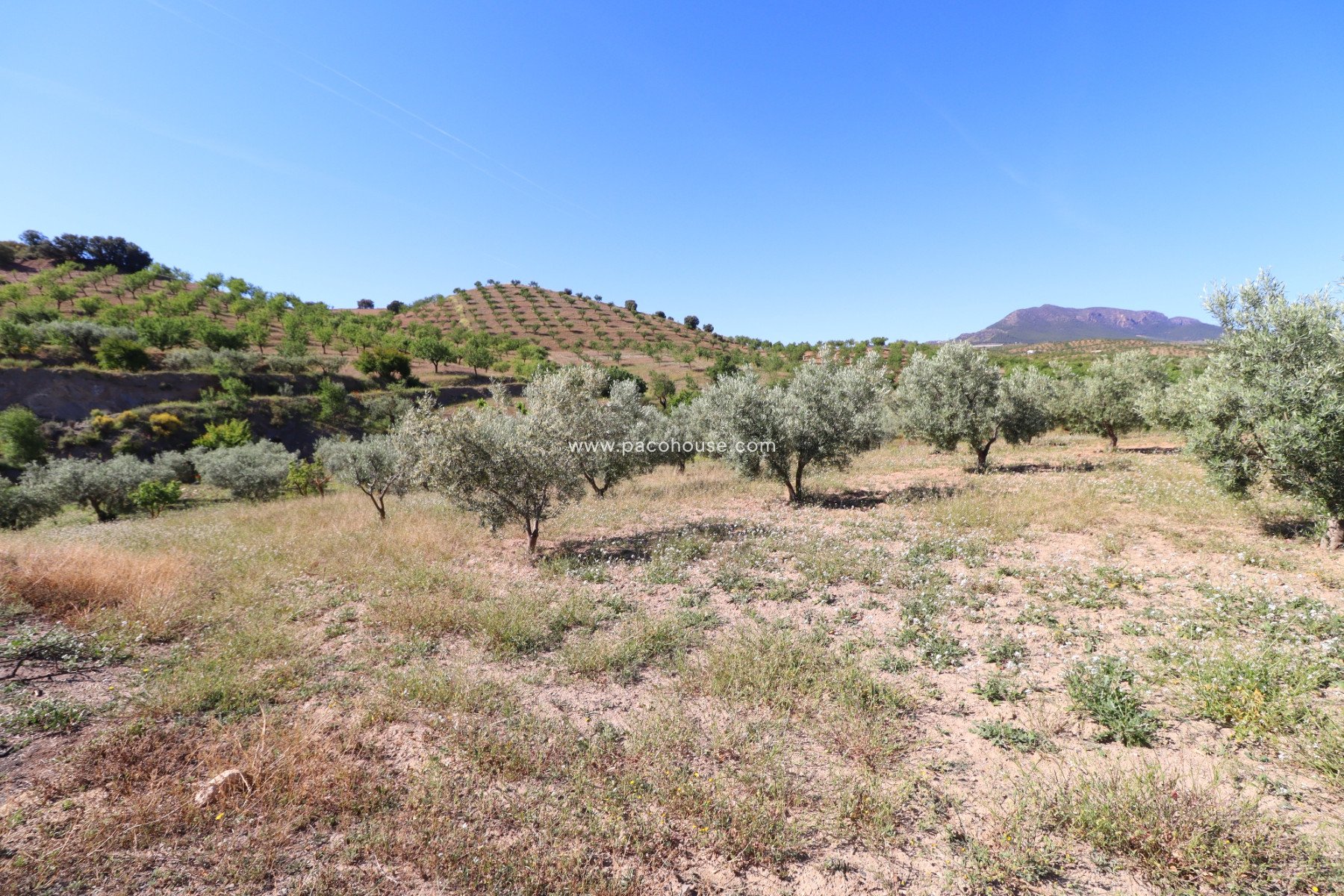 Resale - Country House -
Velez-Rubio