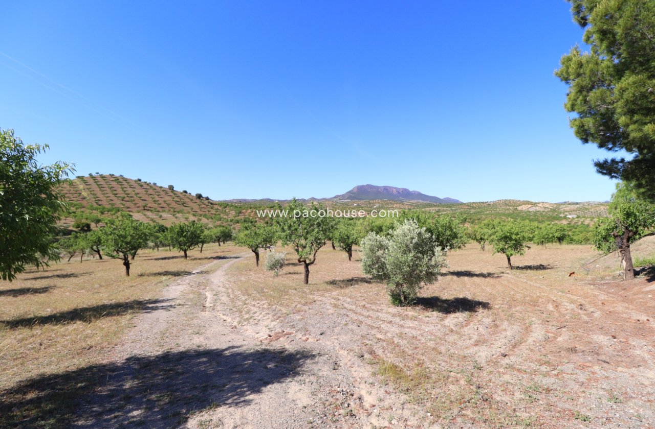 Resale - Country House -
Velez-Rubio