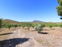 Resale - Country House -
Velez-Rubio