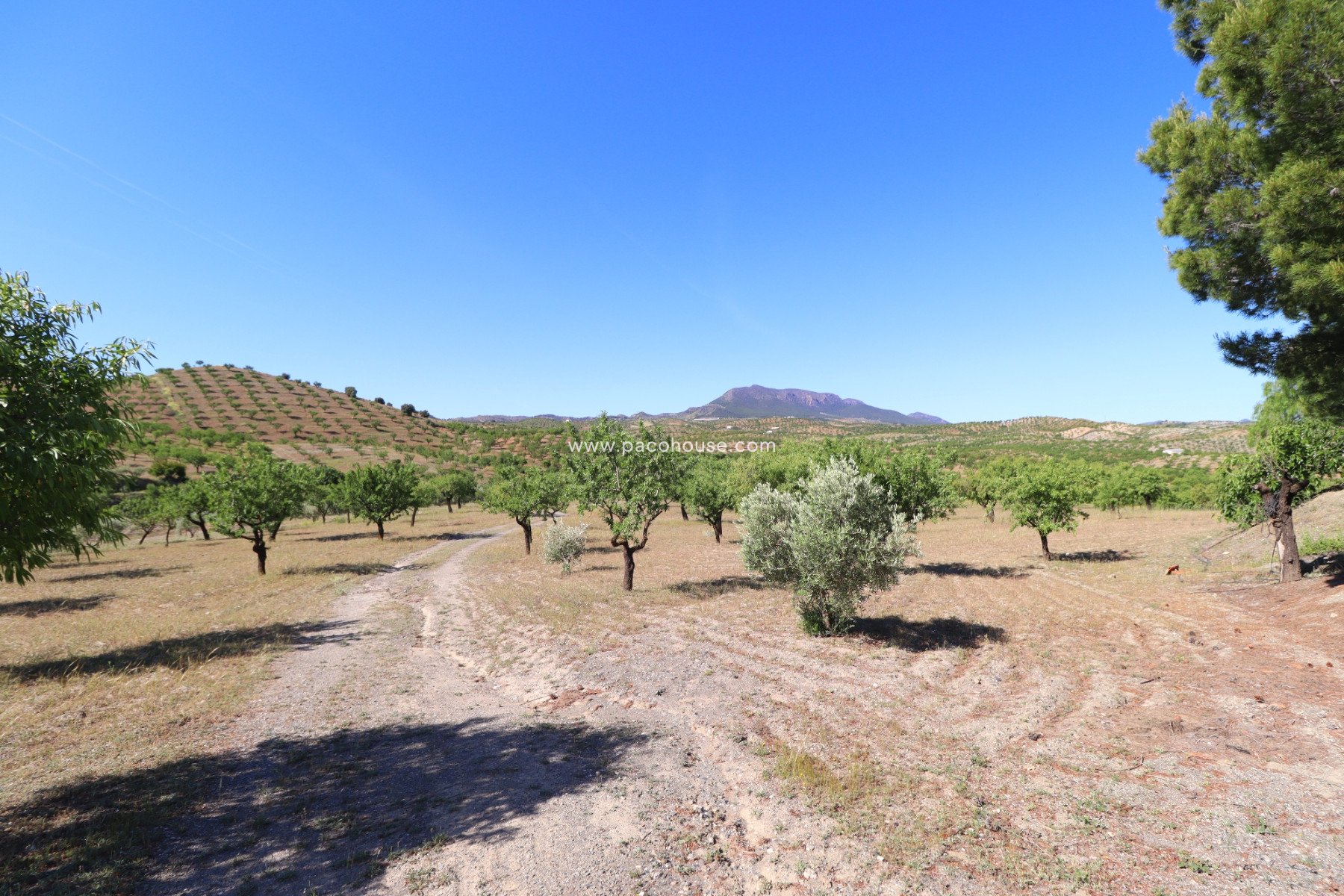 Resale - Country House -
Velez-Rubio