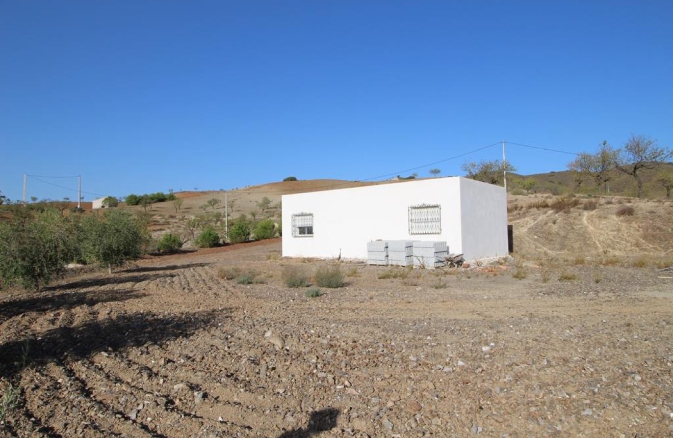 Resale - Country House -
Zarzalico