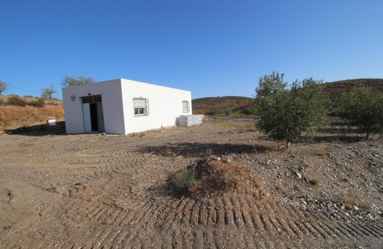 Resale - Country House -
Zarzalico