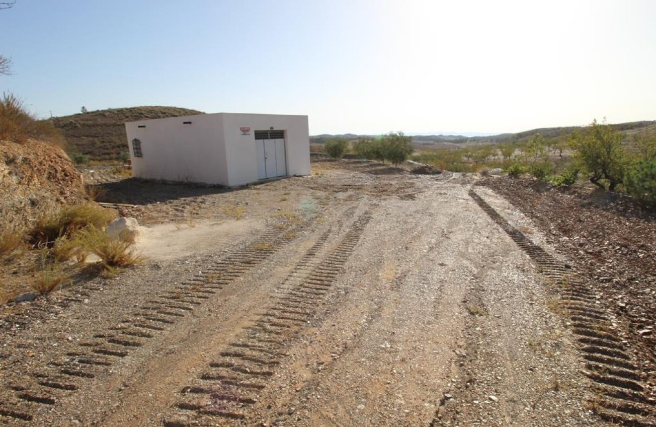 Resale - Country House -
Zarzalico