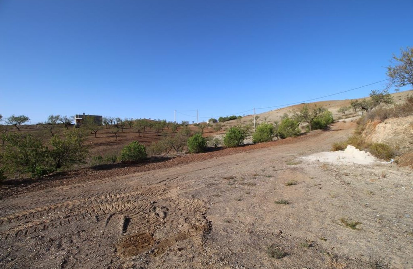 Resale - Country House -
Zarzalico