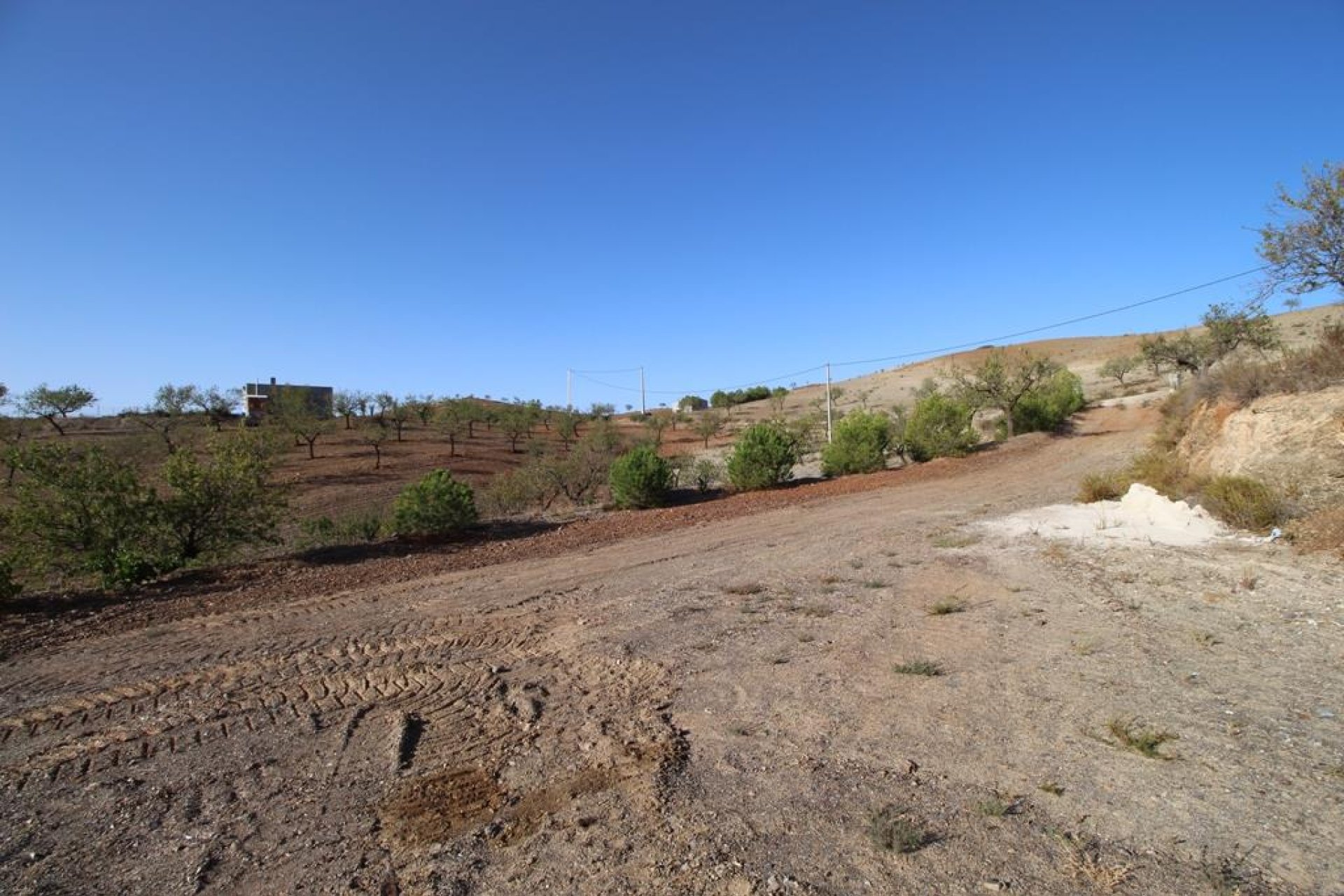 Resale - Country House -
Zarzalico