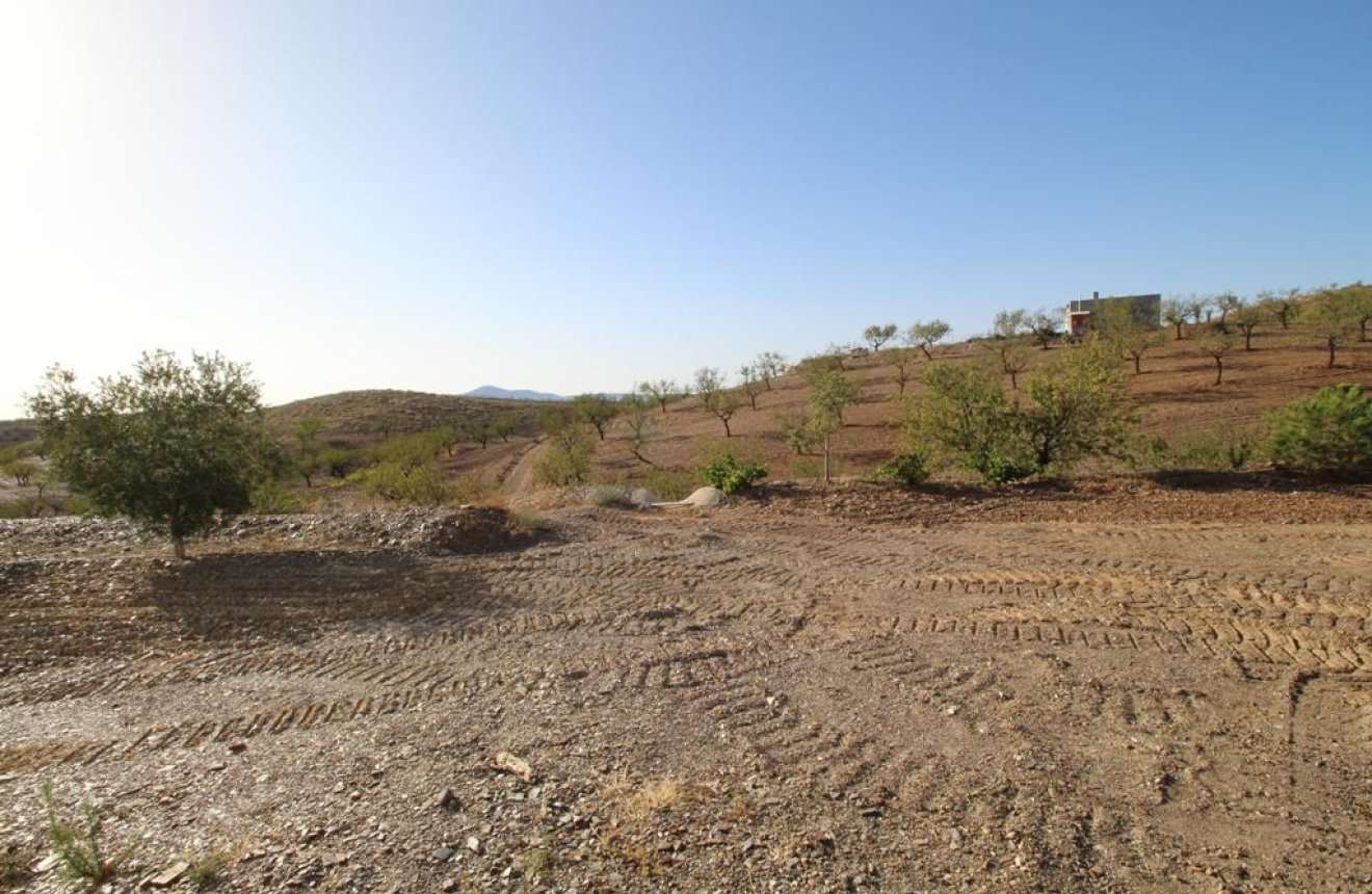 Resale - Country House -
Zarzalico